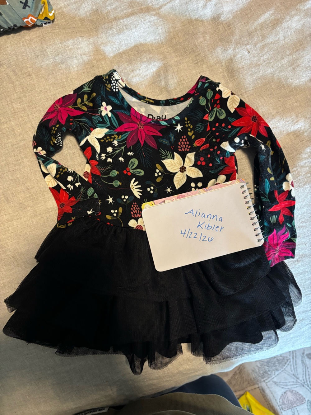 Little Sleepies Berry Merry Tulle Twirl Dress EEUC!